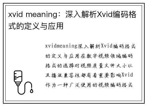 xvid meaning：深入解析Xvid编码格式的定义与应用